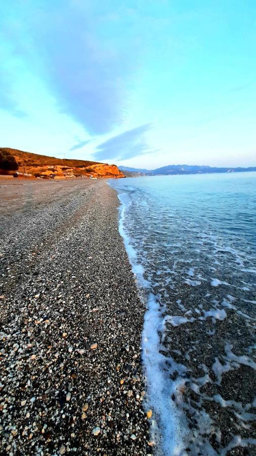 Villa Dimitra Mourteri Bagian luar foto