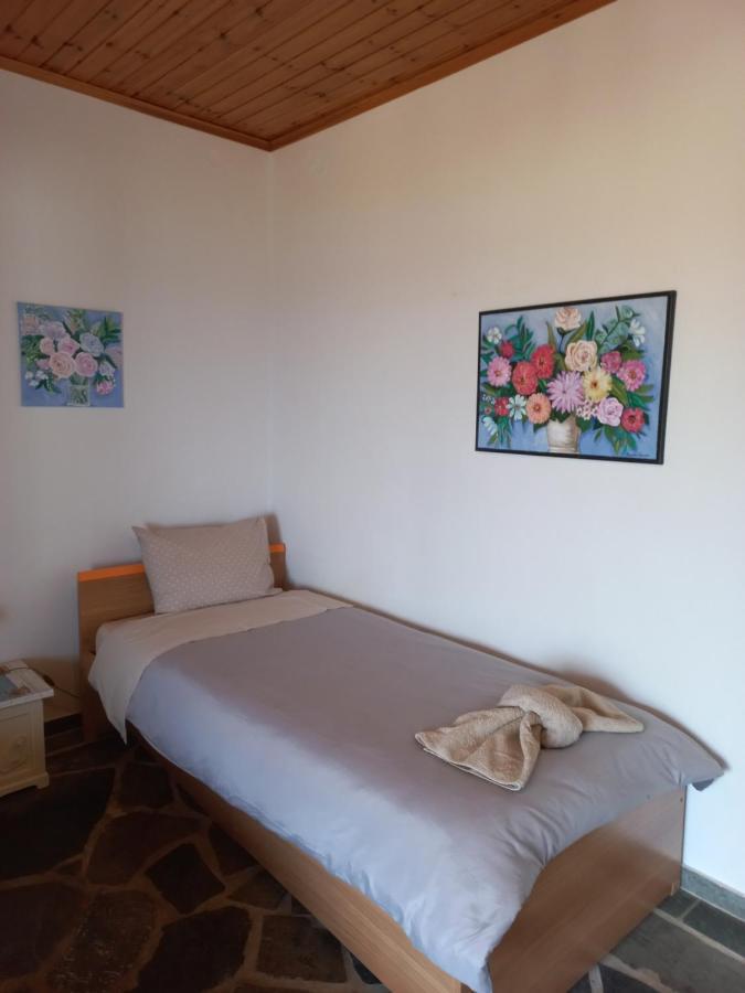 Villa Dimitra Mourteri Bagian luar foto